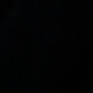 Meet your Posher, Paizlee